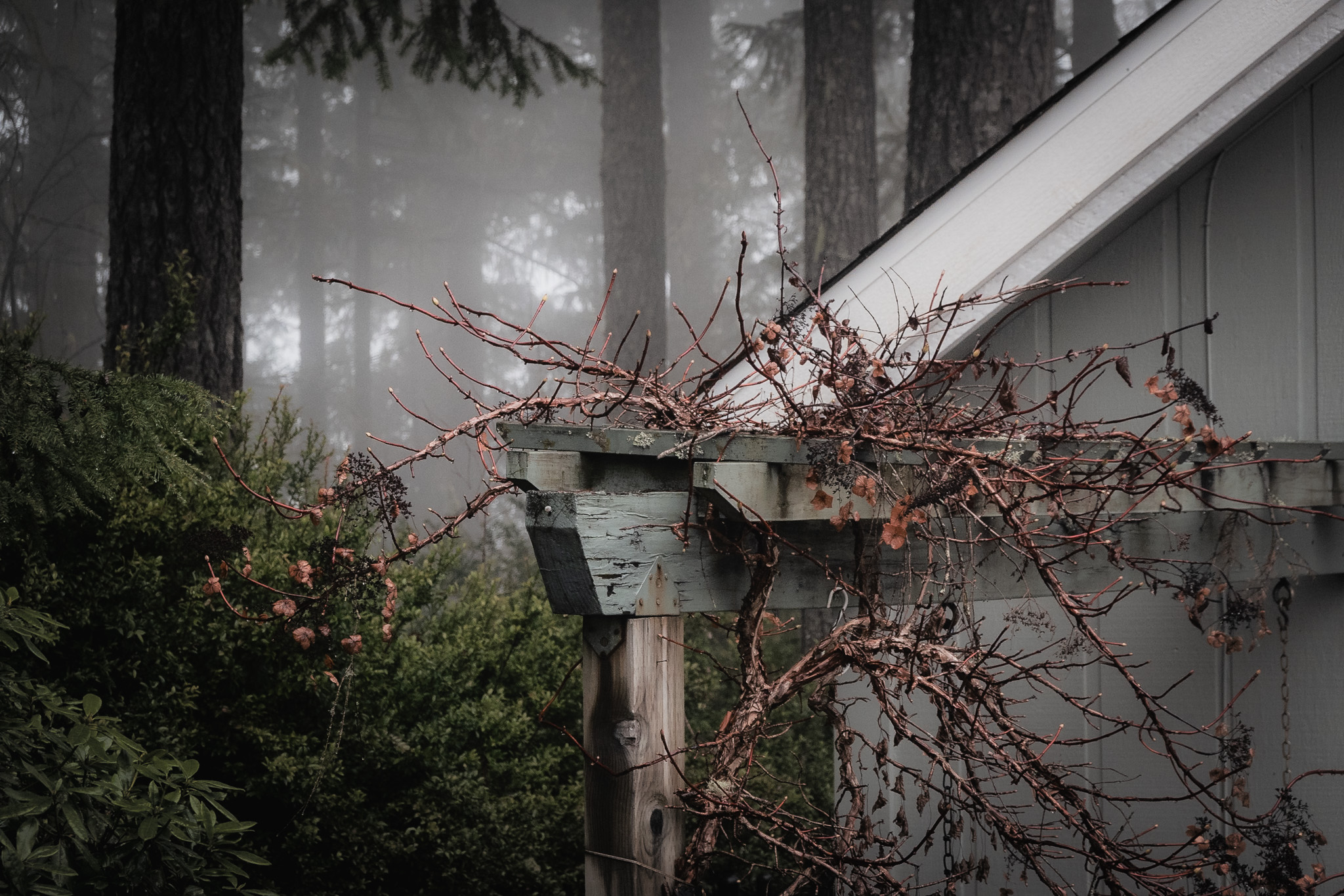 Outdoor pergola area with atmospheric lighting