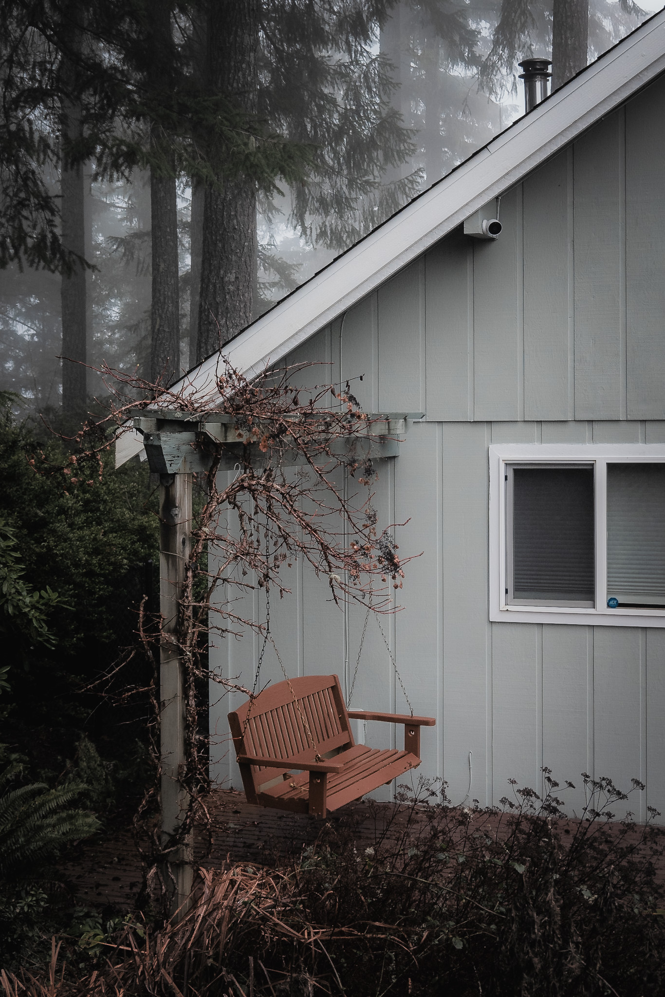 Cozy porch swing with Hood Canal views