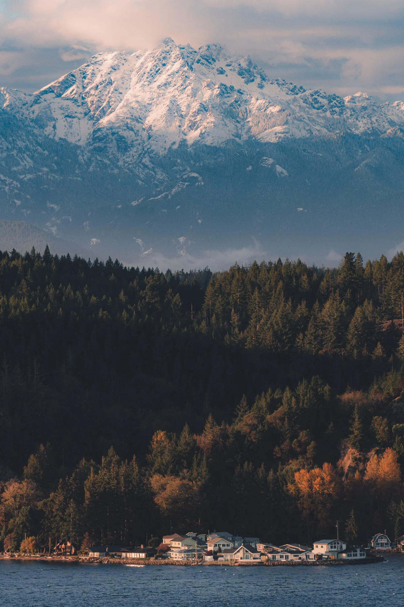 Forest-covered hillsides with Olympic Mountains