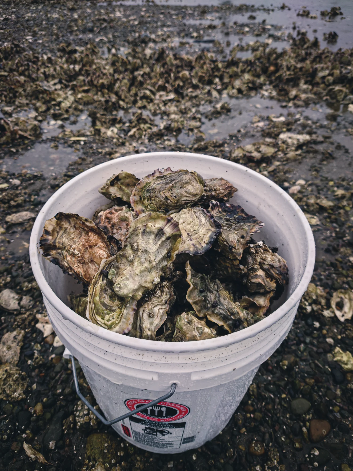 Hood Canal waterfront community